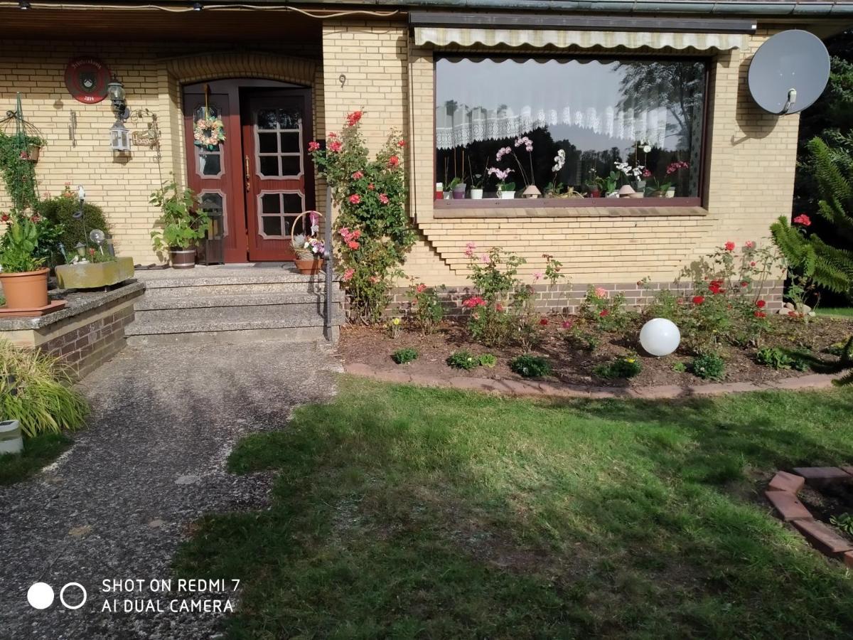 Ferienwohnung Apartment Bohndorf